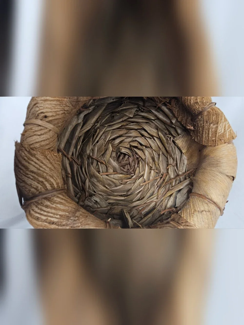 Vintage Rustic Folk Art Basket Natural Coconut Palm Spathe Fiber Grapevine Vine